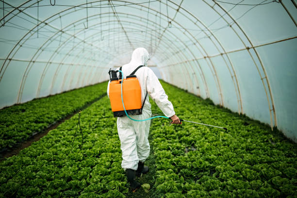 Professional Pest Control in New Madrid, MO