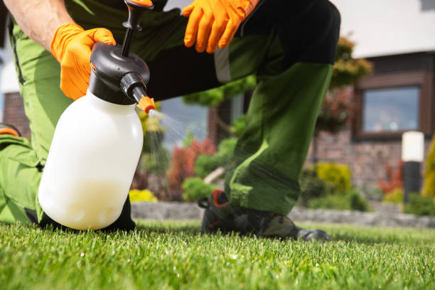 Best Wildlife Control Services  in New Madrid, MO