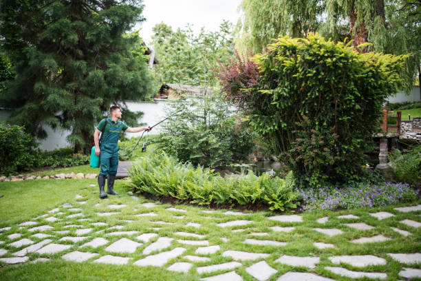 Best Best Pest Control Companies  in New Madrid, MO