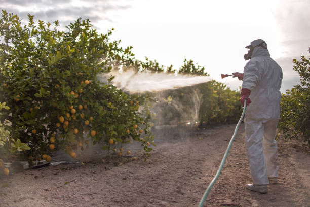 Best Best Pest Control Companies  in New Madrid, MO