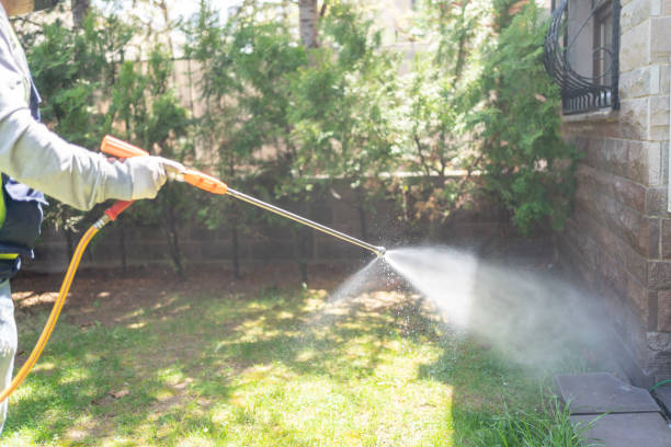 Best Flea Control Services  in New Madrid, MO