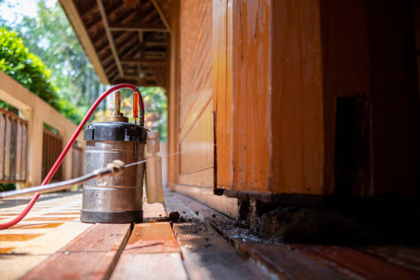 Pest Prevention Services in New Madrid, MO