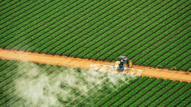Best Mosquito Control Services  in New Madrid, MO
