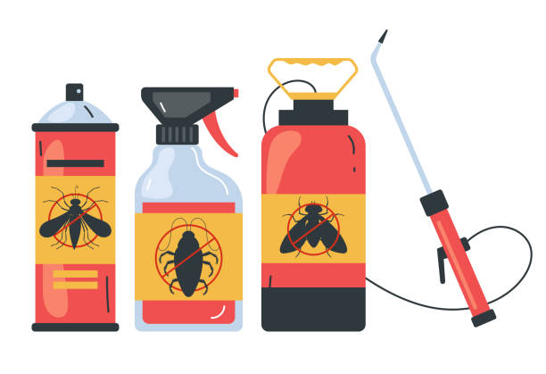 Wasp Removal Services in New Madrid, MO