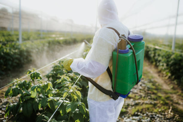 Best Ant Control Services  in New Madrid, MO